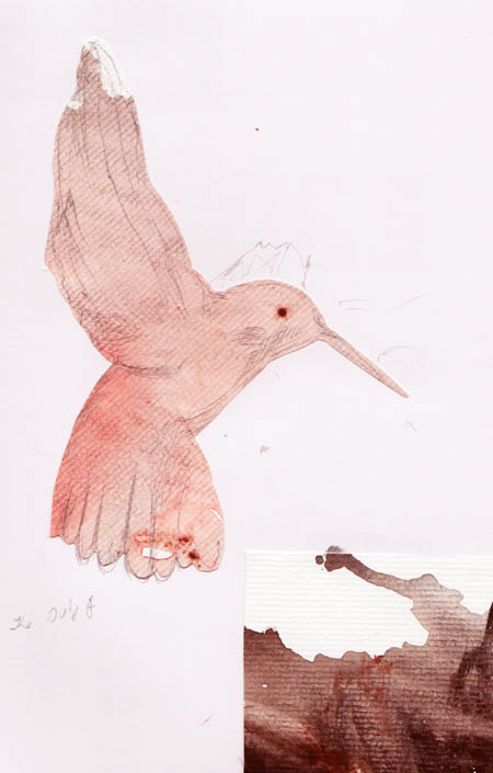 Walden- grow your business like flying bird
